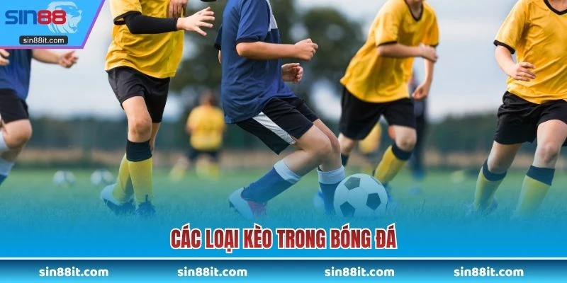 Các loại kèo trong bóng đá