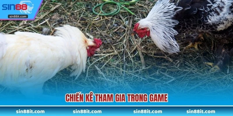 Chiến kê tham gia trong game