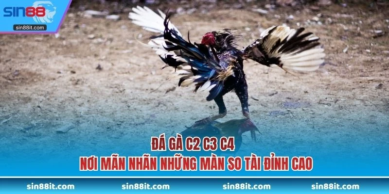 đá gà c2 c3 c4