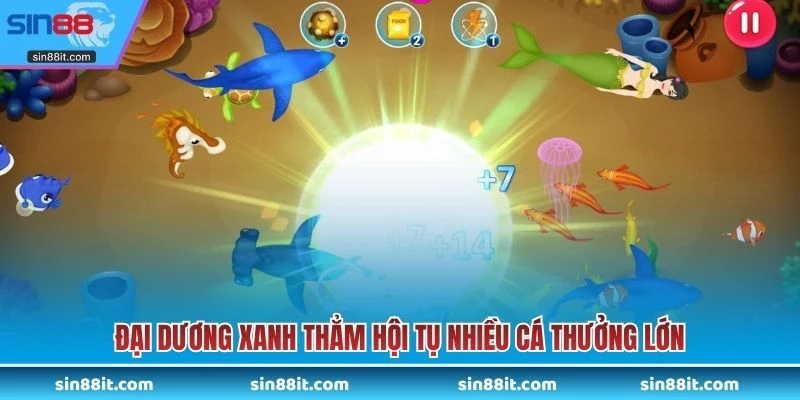 Đại dương xanh thẳm hội tụ nhiều cá thưởng lớn