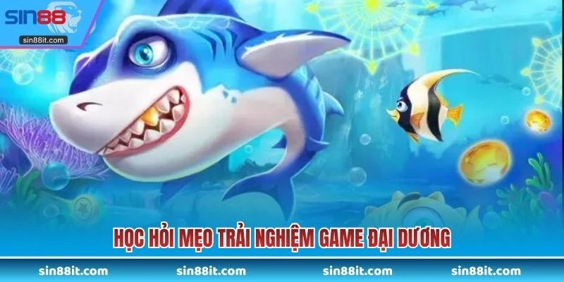 Học hỏi mẹo trải nghiệm game đại dương