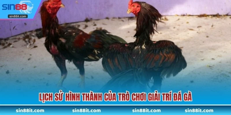 Lịch sử hình thành của trò chơi giải trí đá gà 