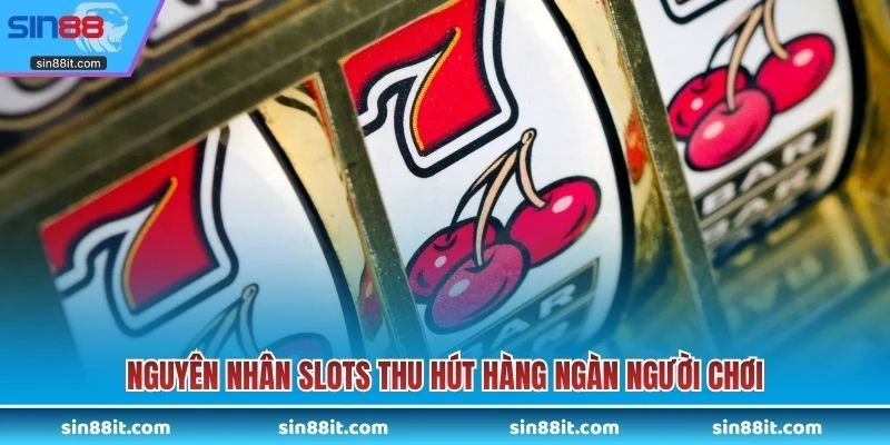 Nguyên nhân slots thu hút hàng ngàn người chơi