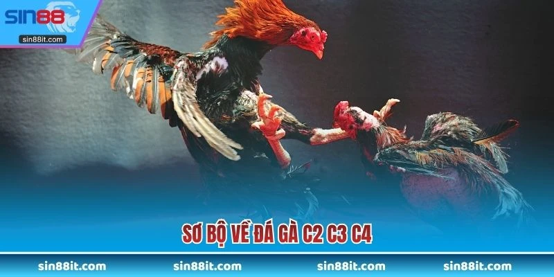 Sơ bộ về Đá gà c2 c3 c4