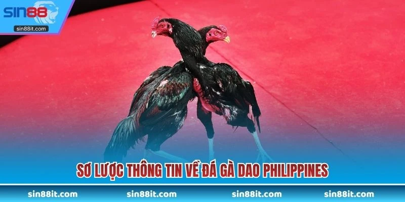 Sơ lược thông tin về đá gà dao Philippines