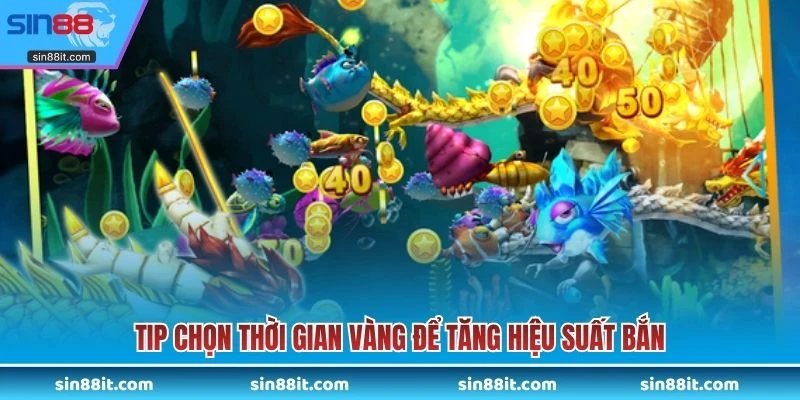 Tip chọn thời gian vàng để tăng hiệu suất bắn
